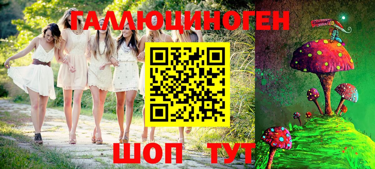 Галлюциногенные грибы Psilocybe  Псилоцибиновые грибы ЛСД  Вход с VPN  Аша 